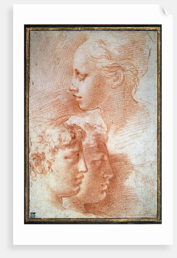 Study of the heads, c1527 by Parmigianino