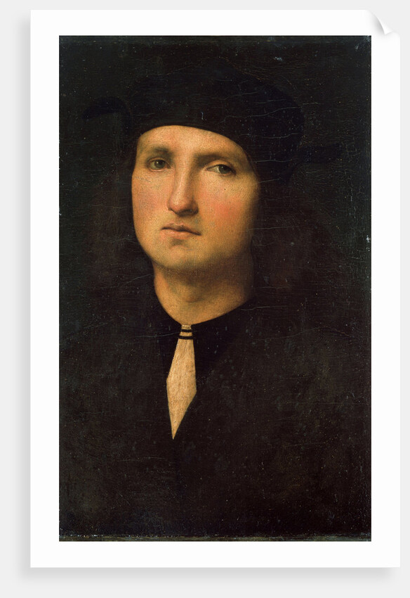 Portrait of a Young Man, between 1495 and 1500. by Perugino