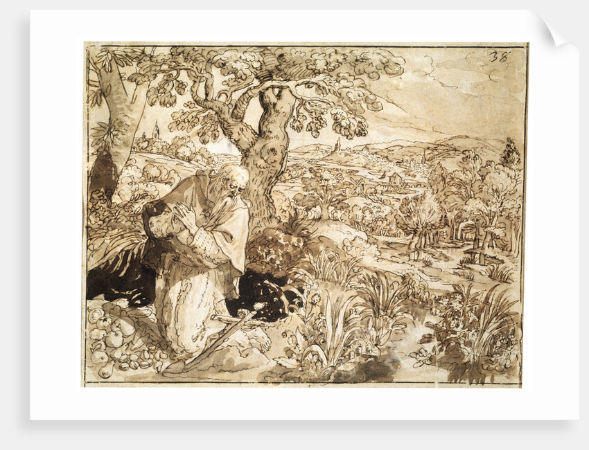 A Hermit, 1585-1586 by Martin de Vos