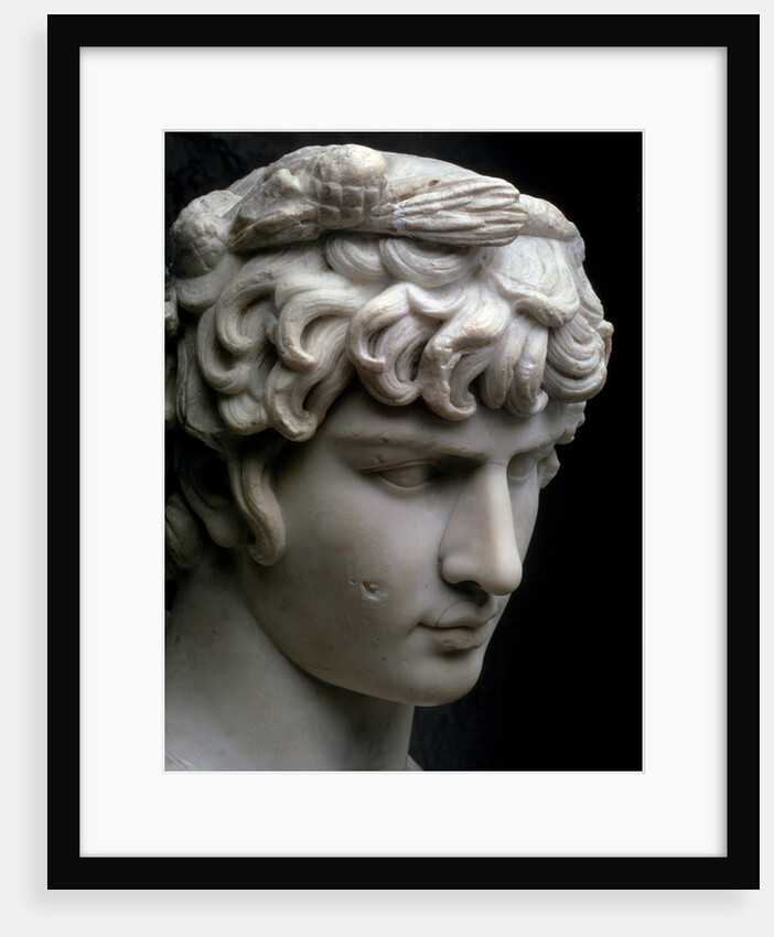 Bust of Antinous, mid 2nd century AD by Unknown