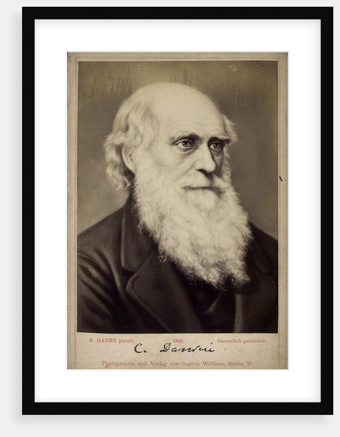 Charles Darwin, British naturalist, c1860s-c1870s by Ernst Hader