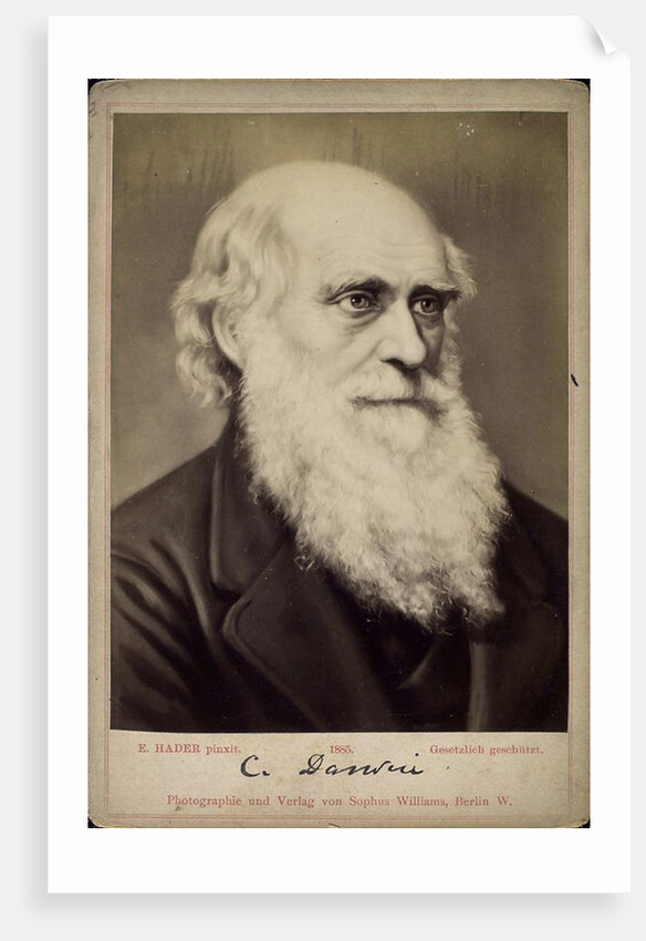 Charles Darwin, British naturalist, c1860s-c1870s by Ernst Hader