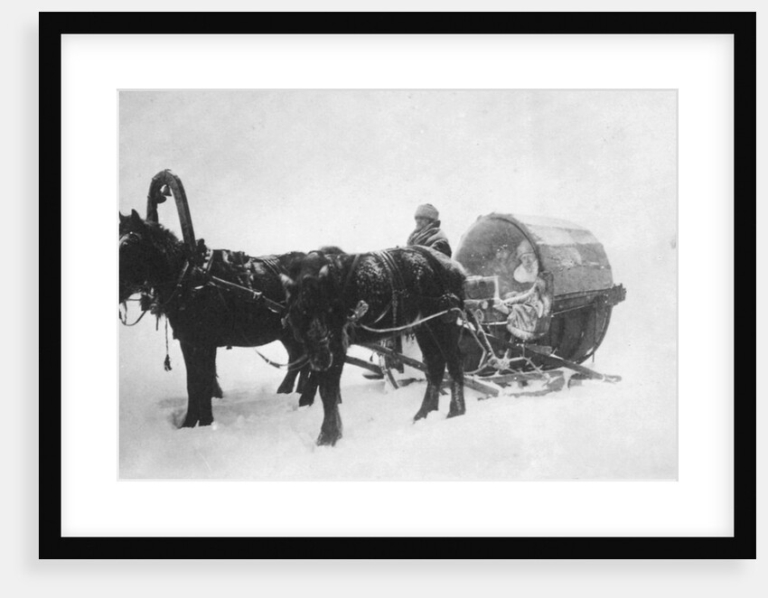 Horse-drawn sledge (kibitka), Siberia, Russia, 1890s by Unknown
