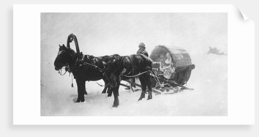 Horse-drawn sledge (kibitka), Siberia, Russia, 1890s by Unknown