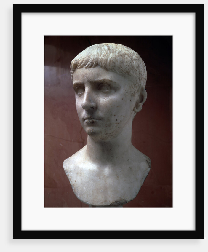 Marble portrait bust of Gaius Julius Caesar, 1st half of 1st century by Unknown