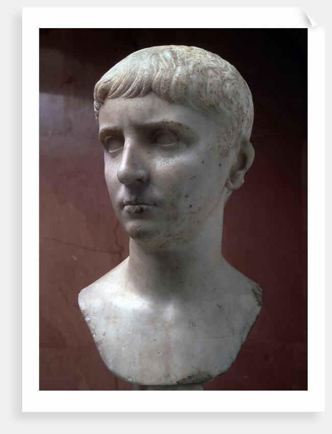 Marble portrait bust of Gaius Julius Caesar, 1st half of 1st century by Unknown