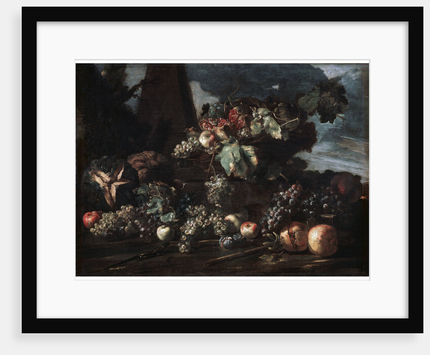 Still Life with Grapes, 17th century. by Michelangelo Pace del Campidoglio