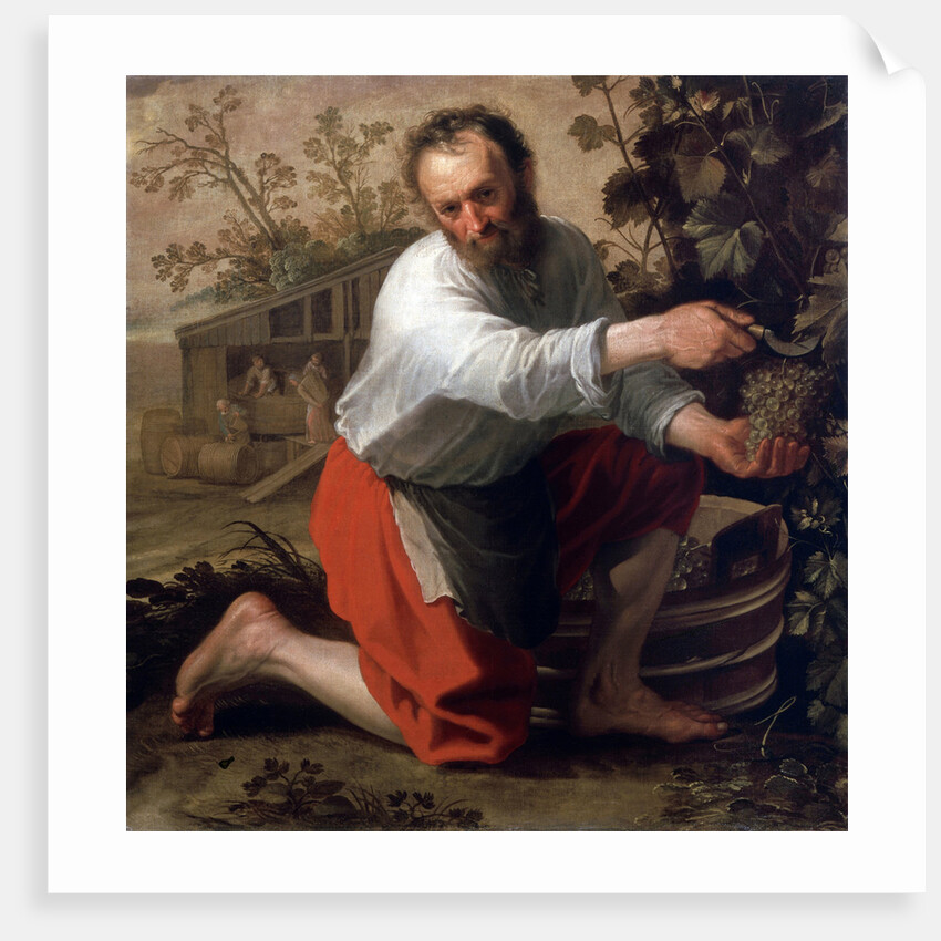 Winegrower, 1628 by Jacob Gerritsz Cuyp