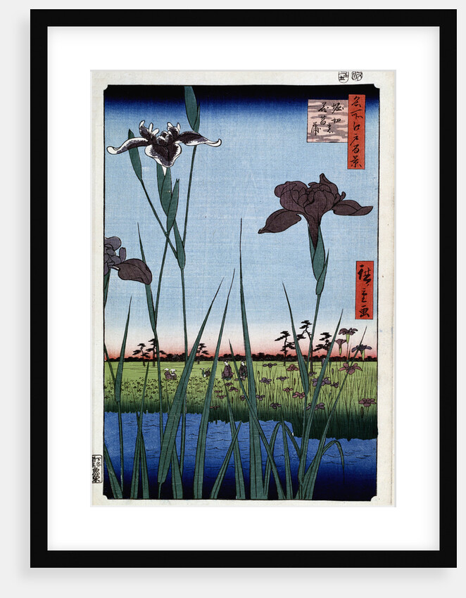 Irises at Horikiri by Anonymous