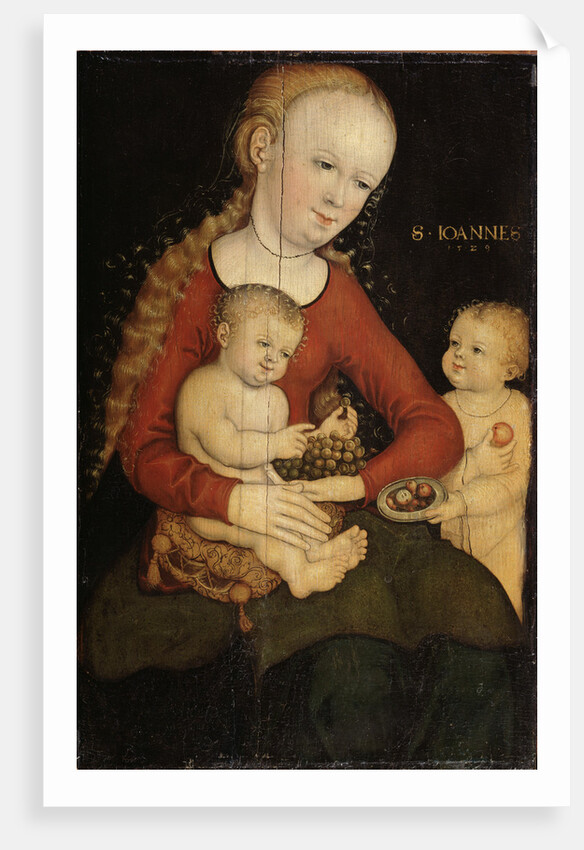 Virgin and child with John the Baptist as a Boy by Anonymous