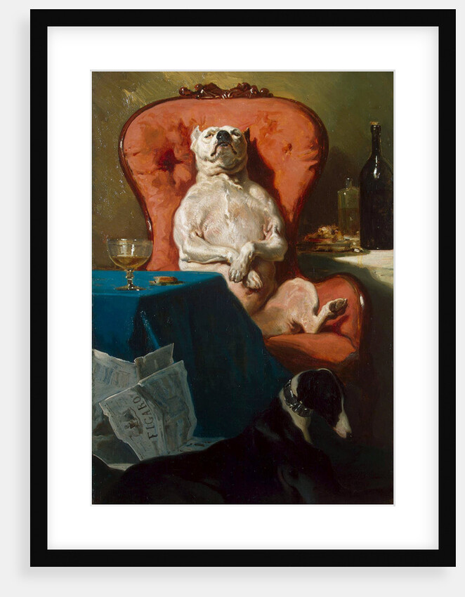 Pug Dog in an Armchair, 1857 by Anonymous