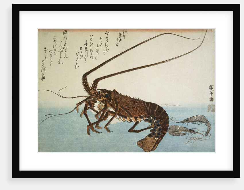 Lobster and Shrimps, 1832-1834 by Anonymous