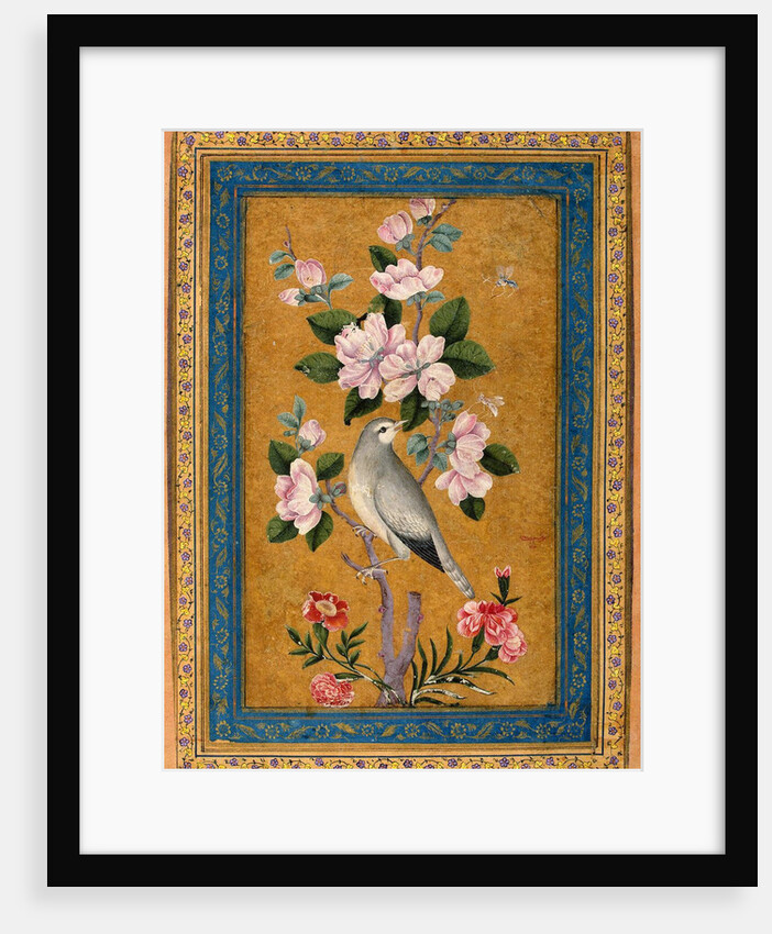 Bird Perching on a Blossoming Branch, 1696 by Anonymous