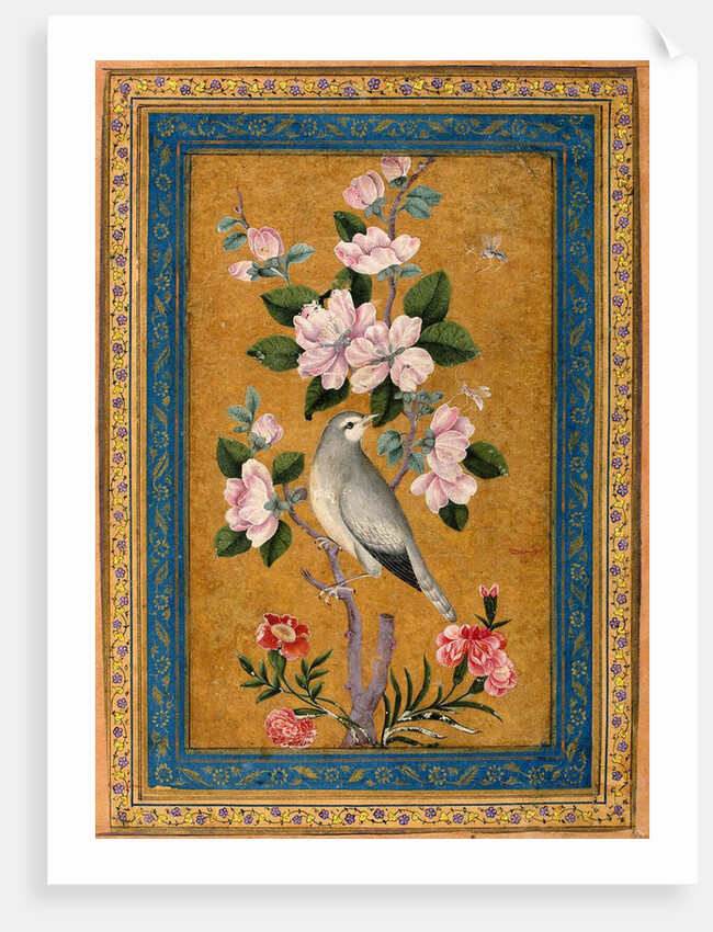 Bird Perching on a Blossoming Branch, 1696 by Anonymous