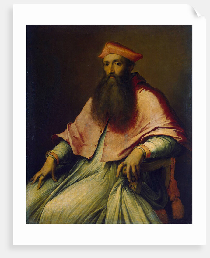 Portrait of Cardinal Reginald Pole, 1540s by Anonymous