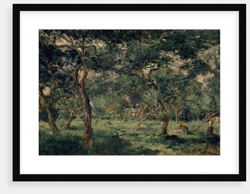 Olive Orchard, early 1870s by Charles François Daubigny