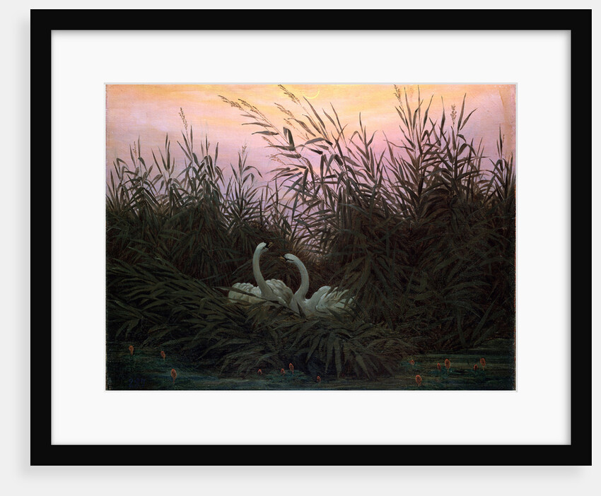 Swans in the Reeds, c1794-c1831 by Caspar David Friedrich