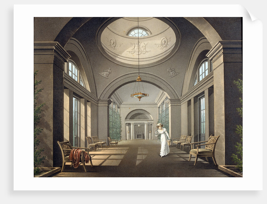 Interior of the Aviary in the Pavlovsk Palace, mid 19th century by Anonymous