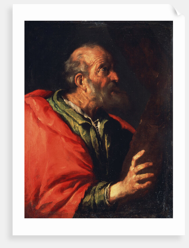Head of an Old Man (the Apostle Peter?), 17th century by Bernardo Strozzi