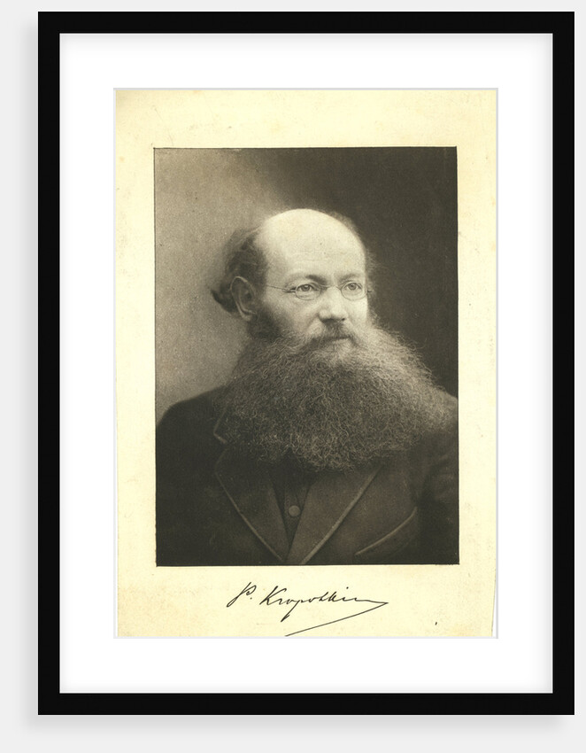 Portrait of Count Peter (Pyotr) Alexeyevich Kropotkin by Anonymous
