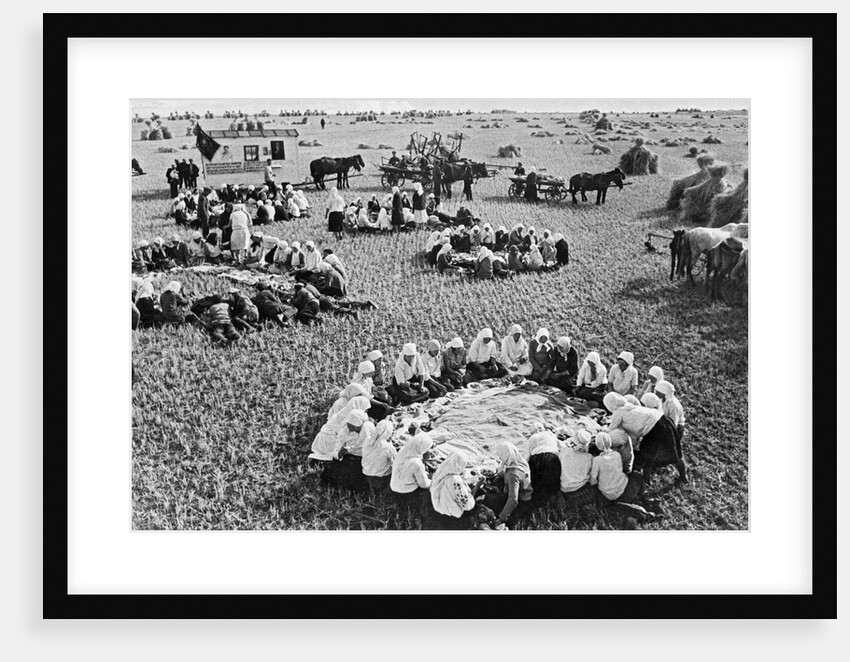 Kolkhoz near Kiev, 1936 by Anonymous