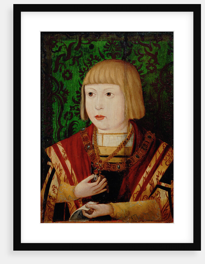 Emperor Ferdinand I at the age of ten or twelve years, c. 1520 by Anonymous