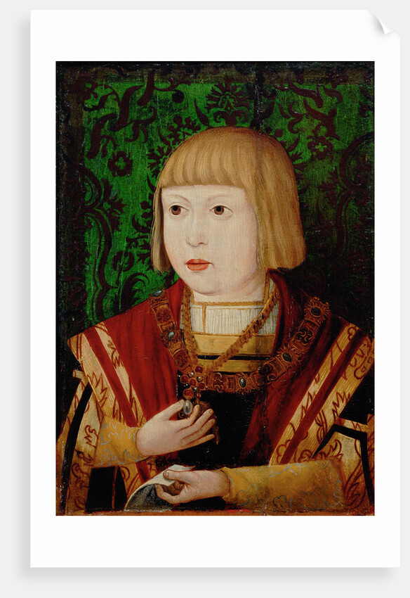Emperor Ferdinand I at the age of ten or twelve years, c. 1520 by Anonymous