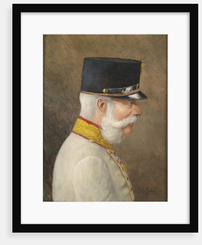 Portrait of Franz Joseph I of Austria by Moritz Ledeli
