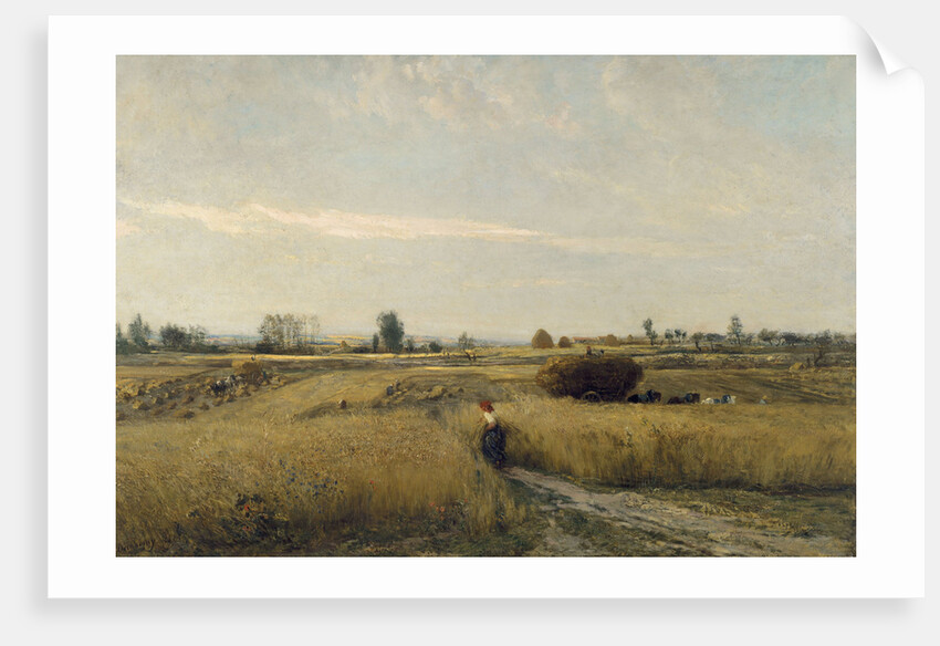 The Harvest, 1851 by Charles-François Daubigny