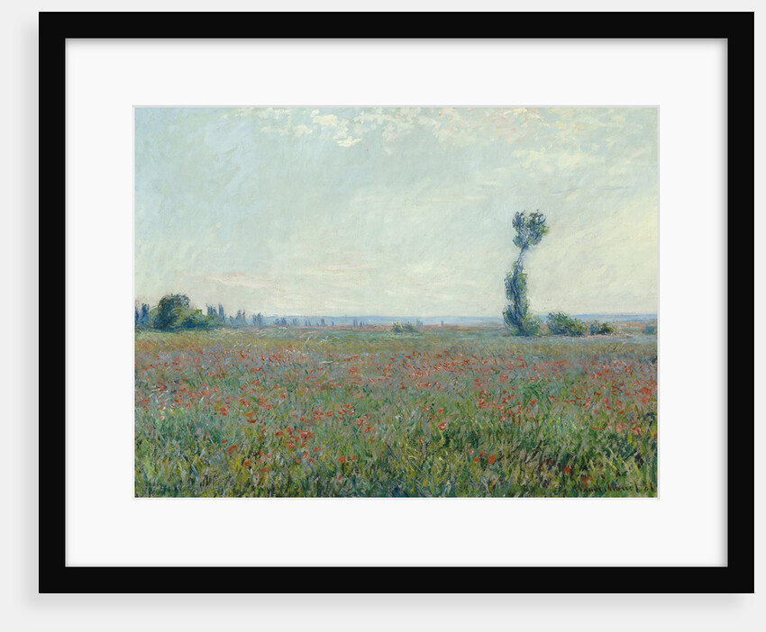 Poppy field, 1881 by Claude Monet