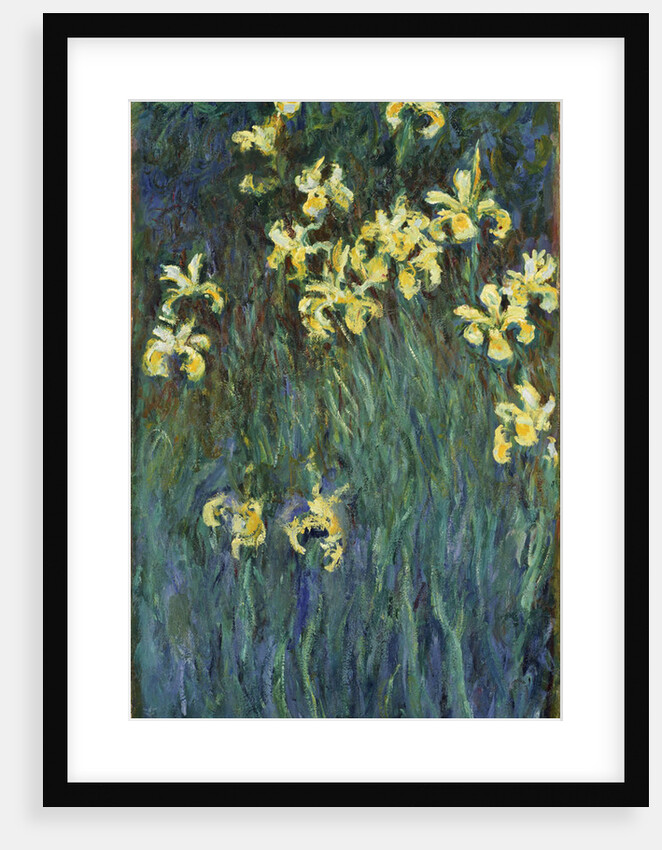 Yellow Irises, 1914-1917 by Claude Monet