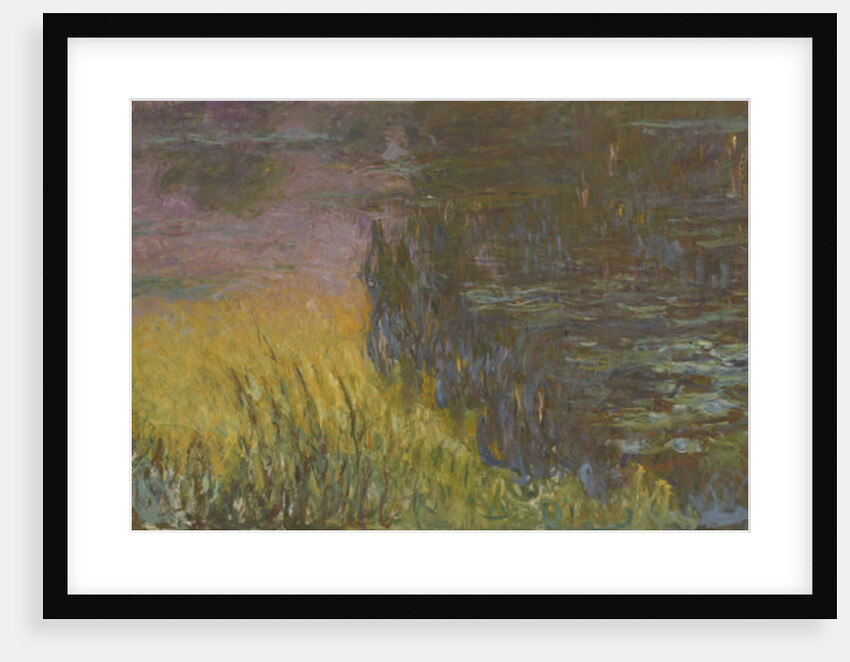 The Water Lilies - Setting Sun, 1914-1926 by Claude Monet