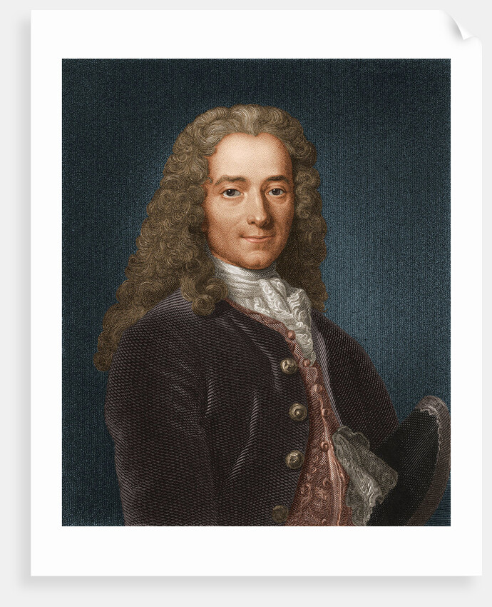 Portrait of the writer, essayist and philosopher Francois Marie Arouet de Voltaire, 1730s by Anonymous