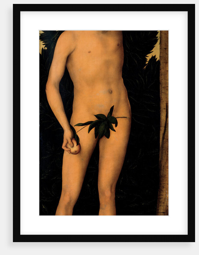 Adam, after 1537 by Lucas Cranach the Elder