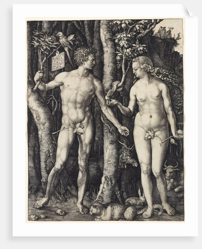 Adam and Eve, 1504 by Albrecht Dürer