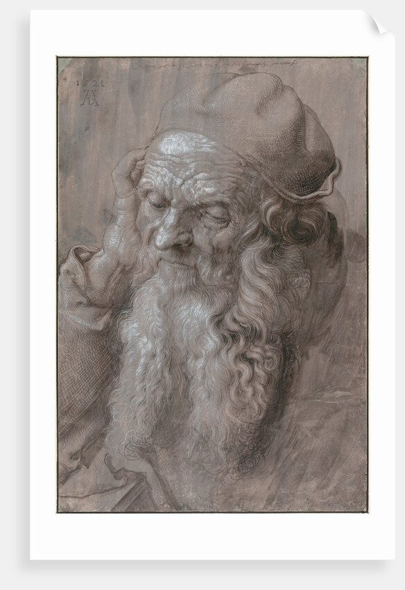 Head of an Old Man, 1521 by Albrecht Dürer