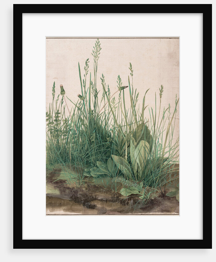The Large Piece of Turf, 1503 by Albrecht Dürer