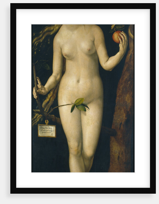 Eve, 1507 by Albrecht Dürer