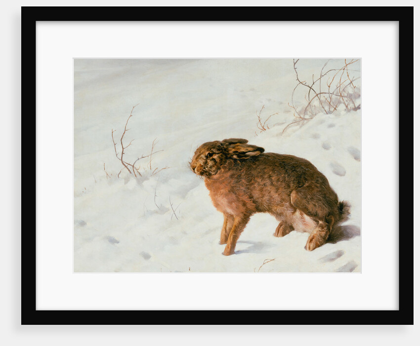 Hare in the Snow by Louis Ferdinand von Rayski