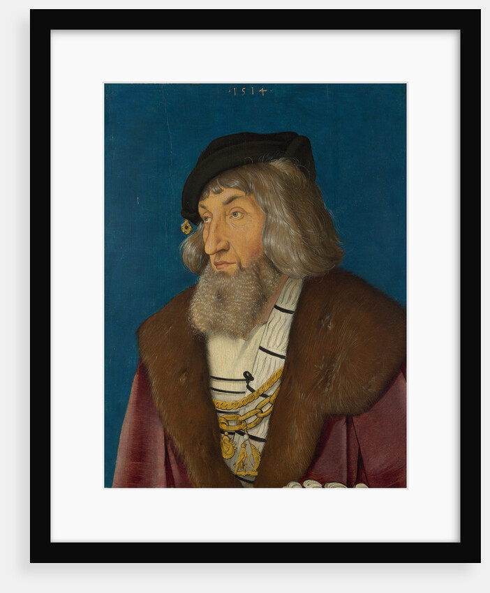 Portrait of a Man, 1514 by Hans Baldung