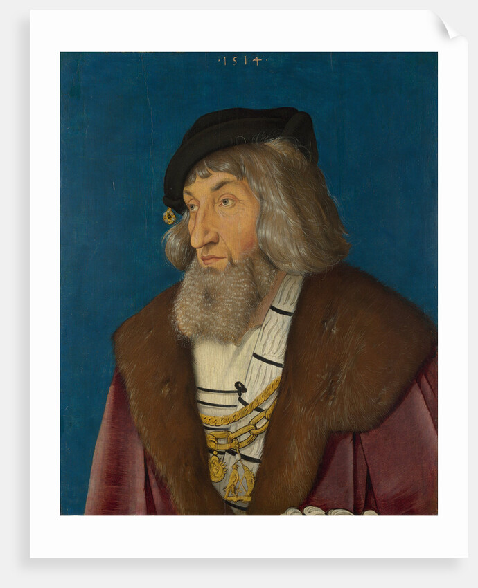 Portrait of a Man, 1514 by Hans Baldung