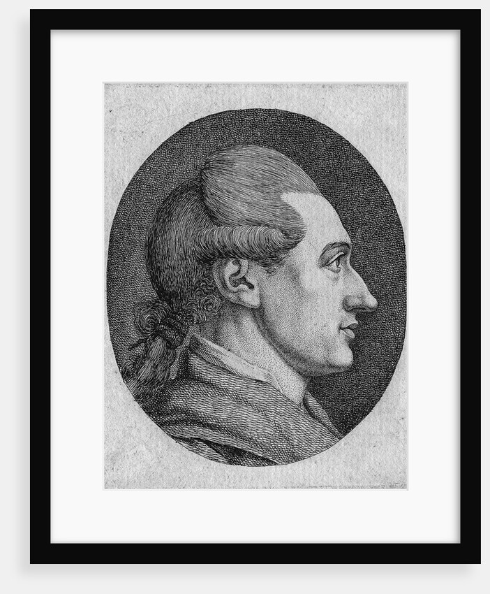 Portrait of the author Johann Wolfgang von Goethe by Dora Stock