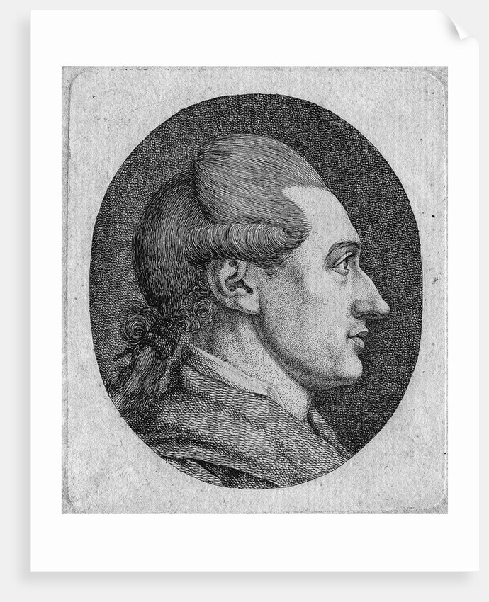 Portrait of the author Johann Wolfgang von Goethe by Dora Stock