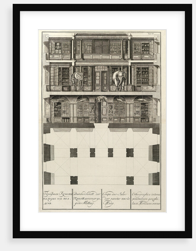 Kunstkammer by Christian Albrecht Wortmann