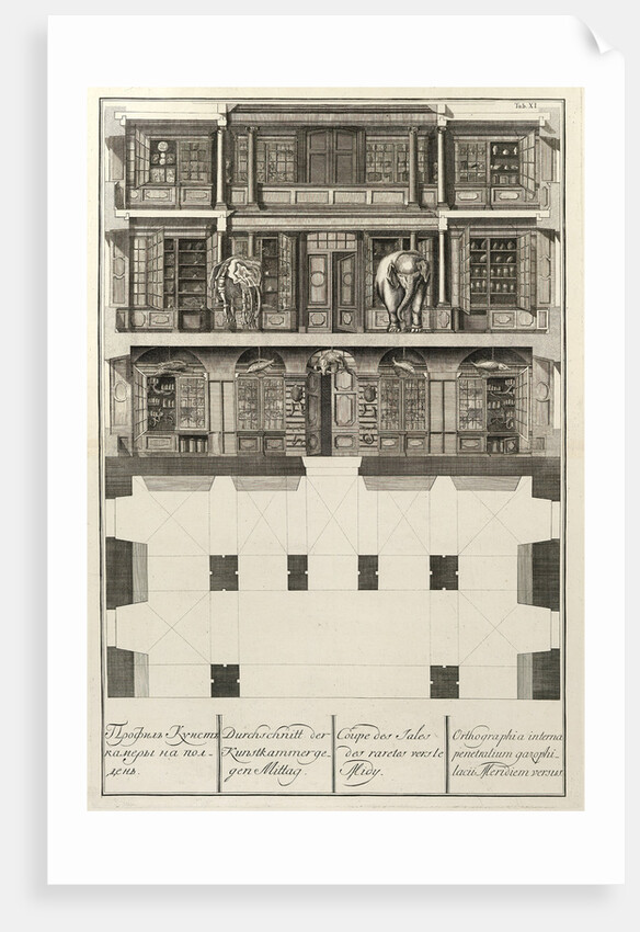 Kunstkammer by Christian Albrecht Wortmann