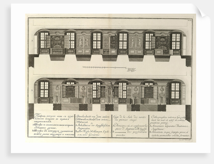 Kunstkammer by Christian Albrecht Wortmann
