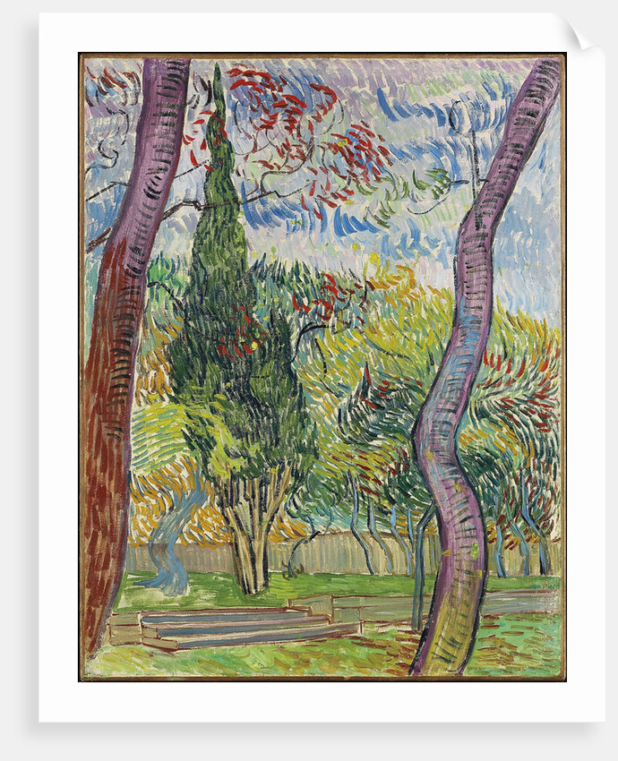 Parc de lhôpital Saint-Paul, 1889 by Vincent van Gogh