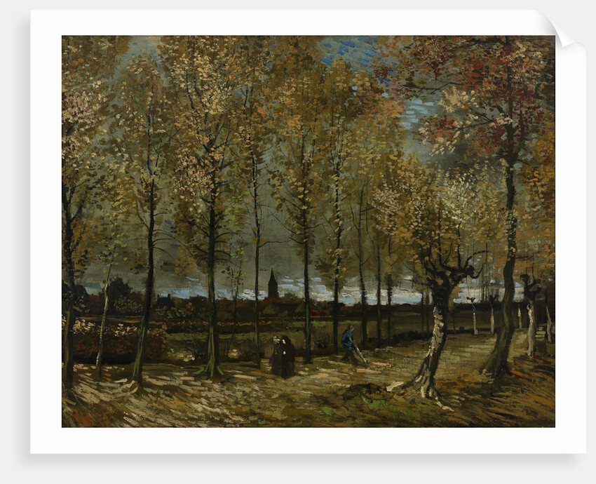 Poplars near Nuenen, 1885 by Vincent van Gogh