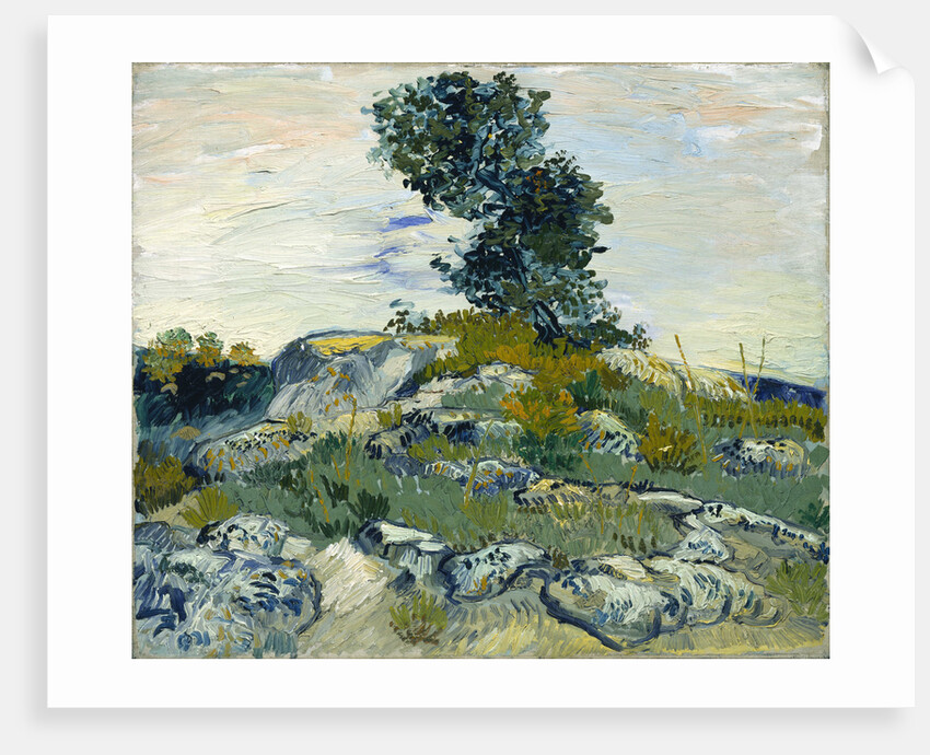 The Rocks, 1888 by Vincent van Gogh