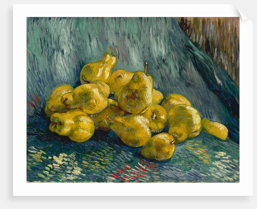 Still Life with Quinces, 1887-1888 by Vincent van Gogh